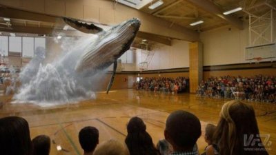 请问3r是指什么(的人都不知道3R是什么)