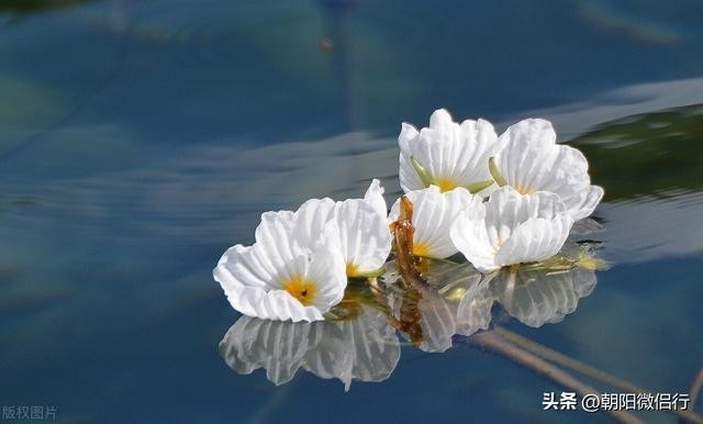 有人说丽江是艳遇之都(丽江保姆级攻略)(2)