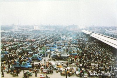 ​寿光蔬菜批发市场如何从20亩小市场发展成为全国最大蔬菜批发市场