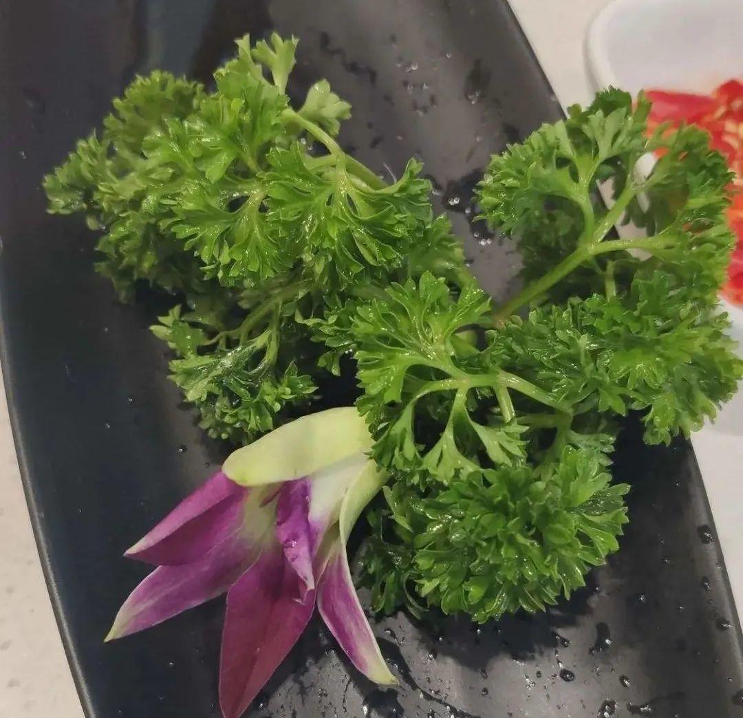 香草长什么样子的图片(6种不同品种香草介绍)