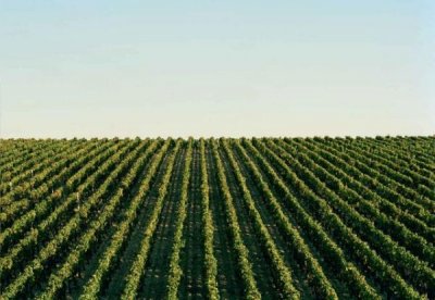 ​拉菲庄园古堡干红2012(拉菲庄园古堡干红葡萄酒价格)