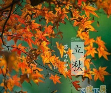 ​立秋是秋天了吗，立秋以后是不是代表秋天来了，庄稼可以收获了？