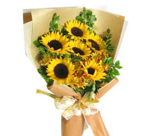 父亲节送什么花好：父亲节送什么花