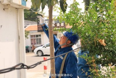 ​蹲点服务进乡村，“村网共建”惠民生