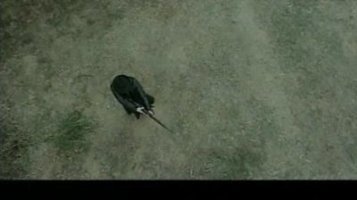 ​电视剧护宝奇兵演员表