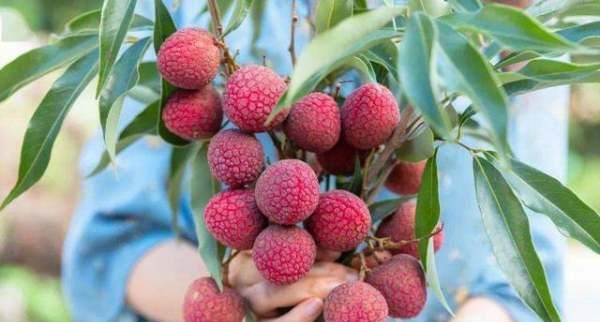 六峰山在什么地方,《隐秘的角落》六峰山在哪里图11