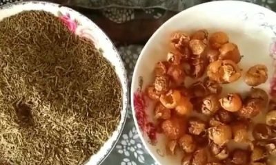 ​自制皂角洗发水,皂荚怎么处理成洗发水的作用