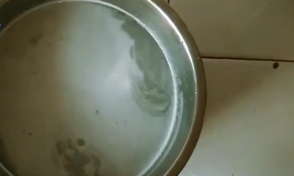 自制皂角洗发水,皂荚怎么处理成洗发水的作用图3