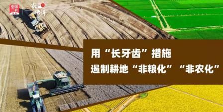 长牙齿的硬措施是什么意思