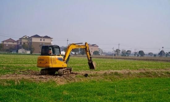 落实长牙齿的耕地保护措施是什么意思