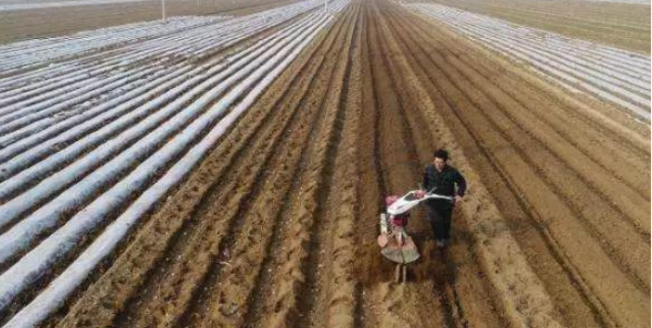 耕地长牙齿是什么意思,农村实行五拆图2