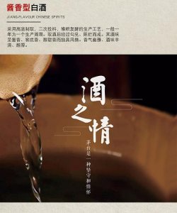 洋河蓝的诱惑怎么样(洋河蓝优酒怎么样)