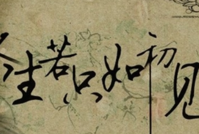 人生若只如初见下句,人生若只如初见下一句是什么图4