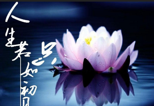 人生若只如初见下句,人生若只如初见下一句是什么图3