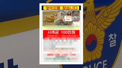 女子悬赏100万寻柯基犬,谁知它早已被邻居大叔吃掉