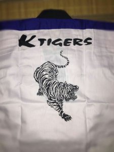 当舞蹈遇到跆拳道?!世界最强武道表演队