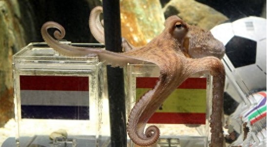 世界最奇葩的动物，怪咖，逆天了