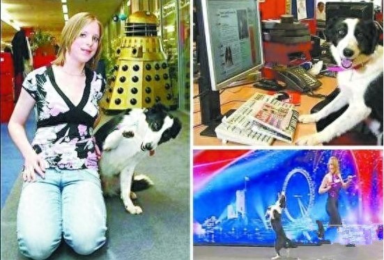 世界最奇葩的动物，怪咖，逆天了