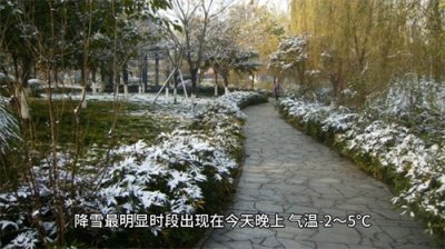 ​今天，成都下雪了
