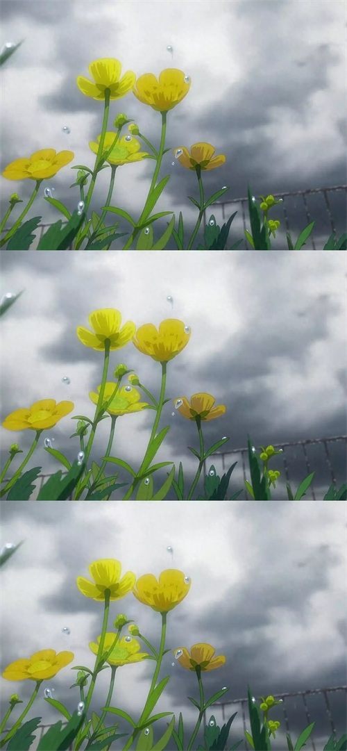 日本动漫电影天气之子，高清全屏手机壁纸，喜欢就拿走哦