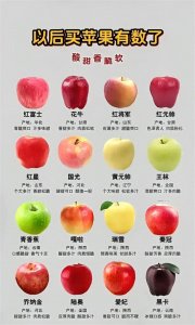 ​你知道有多少苹果品种吗？什么品种的苹果好吃？
