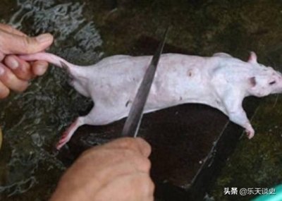 ​满清十大酷刑之“剥皮”