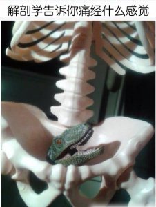 ​男人们，一张图告诉你痛经什么感觉