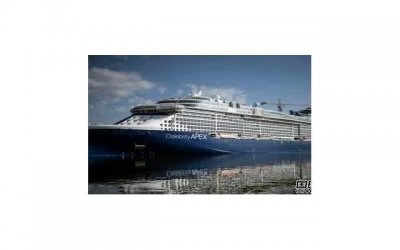 ​高贵典雅？高贵典雅的近义词