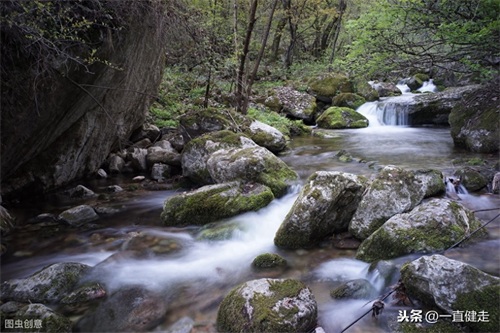 抗战革命剧——《红色黎明》
