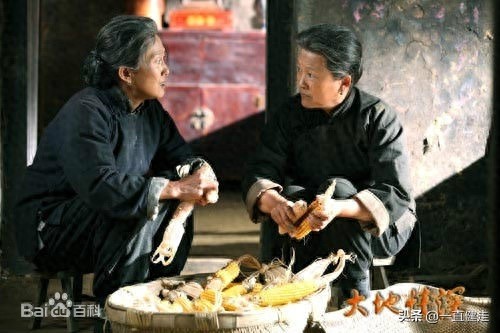 家庭伦理剧——《大地情深》