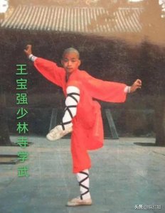 ​著名演员王宝强