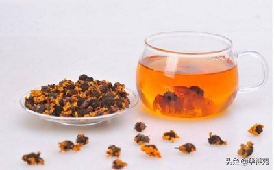 ​什么是天山雪菊？