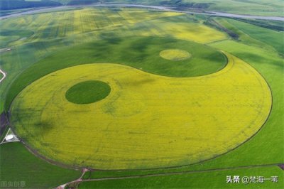 ​蓍草的灵性哪里来？圣人用蓍草做什么？《周易·说卦》全景揭秘