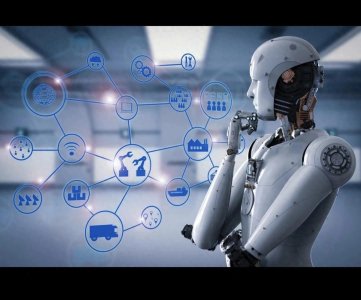 ​现在什么最挣钱？