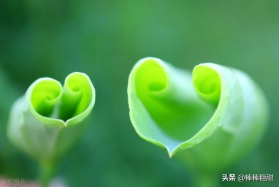 ​什么是善良？