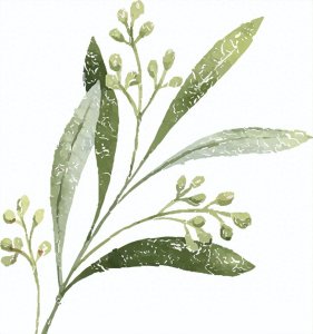 ​负债协商后的十大注意事项，琪姐为你贴心解读！