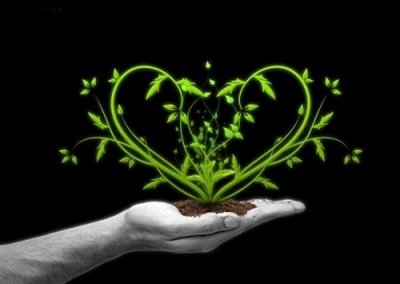 ​什么是菩提心？