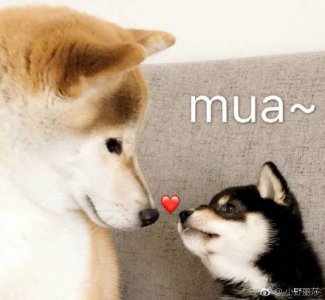 ​2019~2020数九什么时候开始和结束 三九天时间表