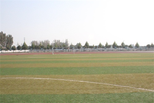 《大树校园行》之河南工业和信息化职业学院