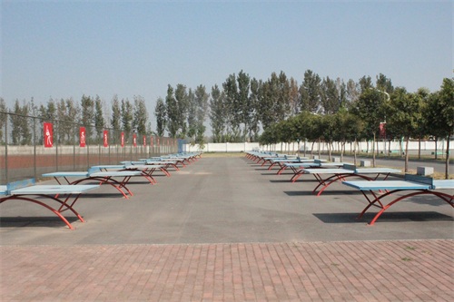 《大树校园行》之河南工业和信息化职业学院