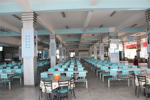 《大树校园行》之河南工业和信息化职业学院