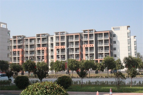 《大树校园行》之河南工业和信息化职业学院