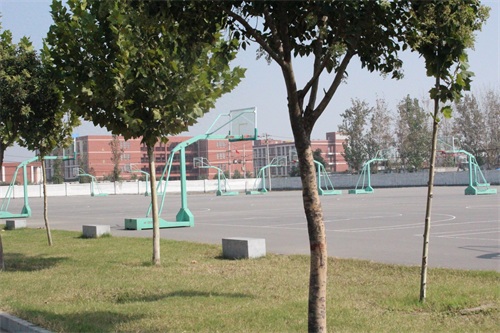 《大树校园行》之河南工业和信息化职业学院