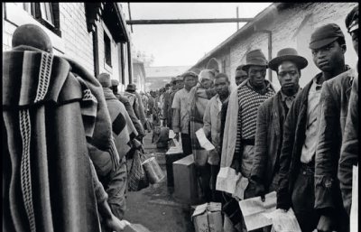 是什么导致了南非的种族隔离?