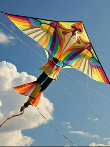 “猴尾巴”生日记 ,孩子的世界应该有什么 ? 妈妈的爱不能分享