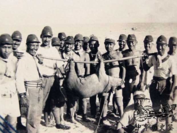 不要再被抗日神剧骗了,这才是真正的日本鬼子,强壮凶悍又残忍