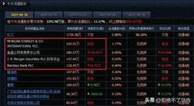 ​股价从34跌到2.8元，高盛，摩根等4家外资抄底，全部买成十大股东