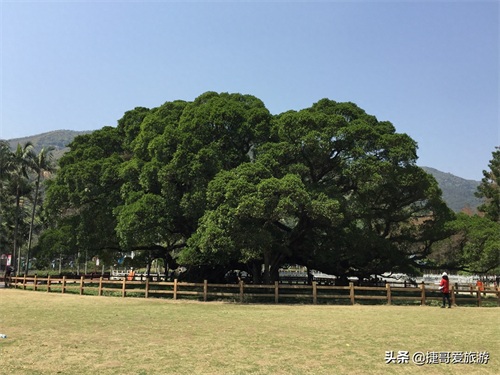 福建省 福州市 福州国家森林公园 全国十大森林公园之一