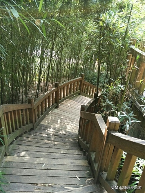 福建省 福州市 福州国家森林公园 全国十大森林公园之一