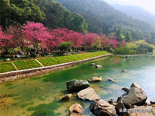 福建省 福州市 福州国家森林公园 全国十大森林公园之一